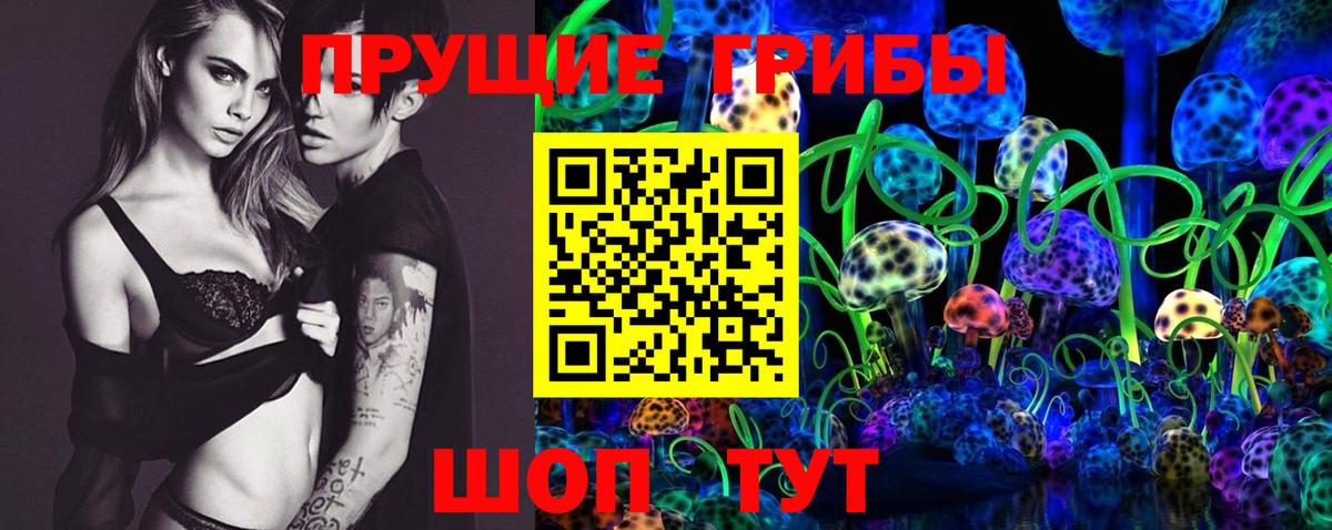 Конаково  Галлюциногенные грибы Psilocybe  Вход с VPN 