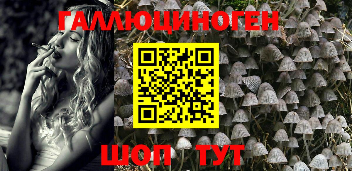 Галлюциногенные грибы GOLDEN TEACHER Конаково