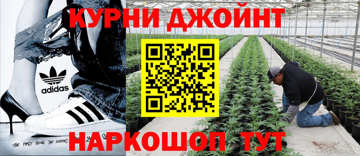 Бошки Шишки SATIVA & INDICA  Вход с VPN  Конаково  Марихуана ГИДРОПОН  Каннабис THC 21% 